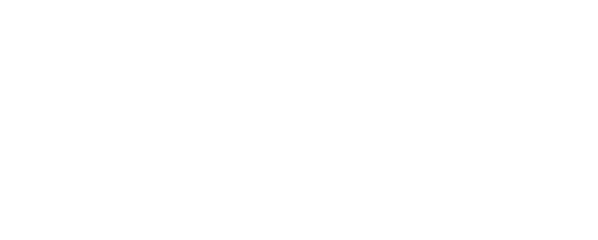 Shopify Çözüm Ortağı